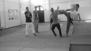 sin moo hapkido Aokas