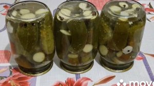 Огурчики венгерские.