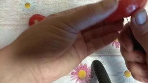 Дегустация : томат загадка