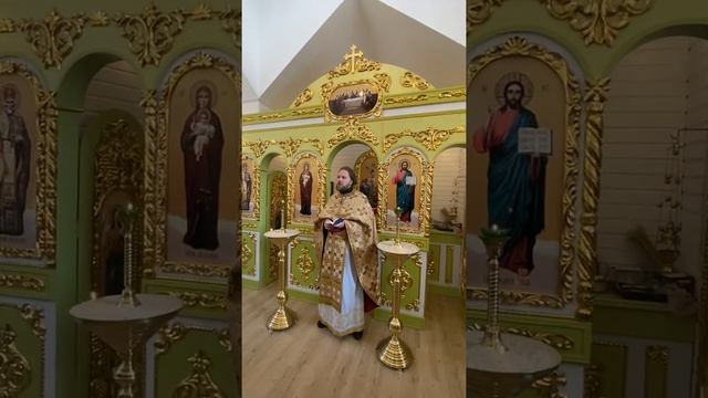 Настойчивая вдова смотреть онлайн