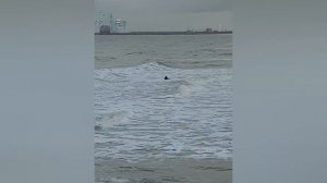 Выше небо паруса