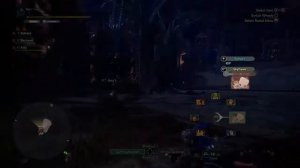 Tempered Furious Rajang Experience