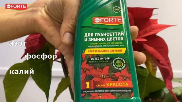 Удобрение для пуансеттий и цветущих зимой растений КРАСОТА Бона форте 285 мл