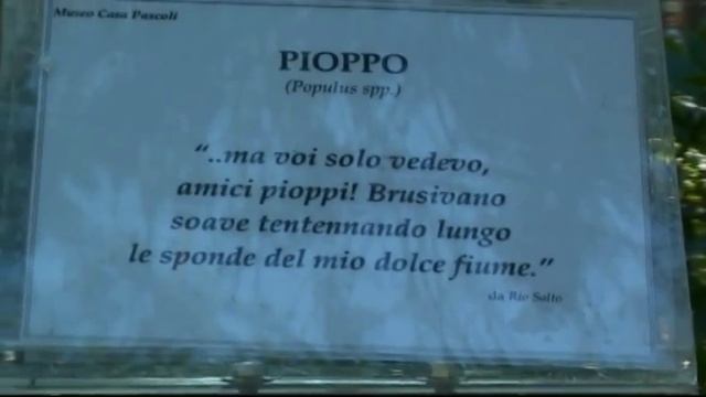 San Mauro Pascoli La casa di Pascoli 2001 смотреть онлайн