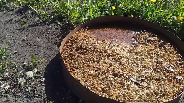 Пчёлы и Вода смотреть онлайн