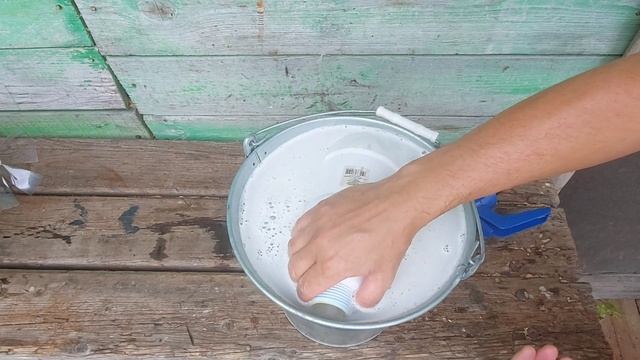 Как избавиться от паутинного клеща в теплице