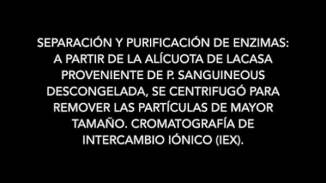 Biotransformación de un contaminante emergente mediante el uso de enzimas lacasas inmovilizadas смотреть онлайн