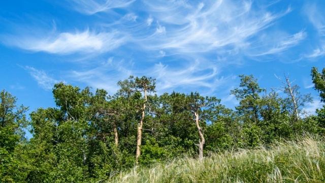 Жигулевские горы - Жемчужина Самарской Губернии смотреть онлайн