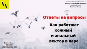 Как работают кожный и анальный вектор в паре. ВектораВсем. Проект Вячеслава Юнева