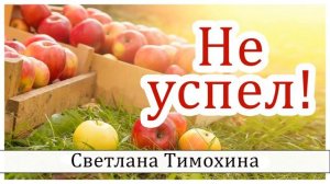 Рассказ Светланы Тимохиной "Не успел". Авторское чтение.