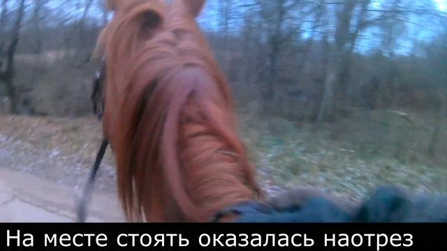 Верхом на новой лошади! знакомьтесь это Фаня! смотреть онлайн