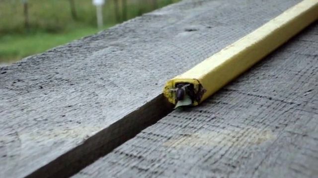 Шмель устроил дом в металлической трубке /The bumblebee made a home in a metal tube смотреть онлайн