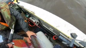 Рыбалка на Ладоге и реке Волхов. Мой новый рекорд по щуке