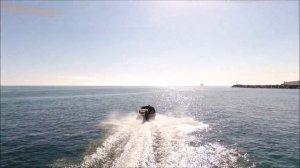 Bermuda Stingray 390