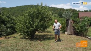 Мир сельского хозяйства. №21 Сады 29.08.2023