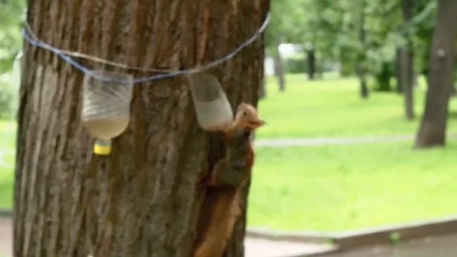 Olympus Pen E-PL6 Video Test - Handheld & Stabilisation test смотреть онлайн