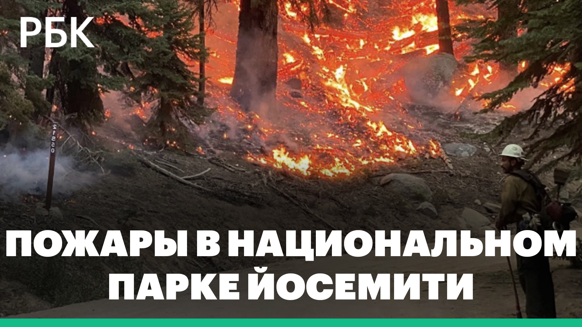 В американском нацпарке Йосемити бушуют лесные пожары. Огонь угрожает гигантским секвойям: видео