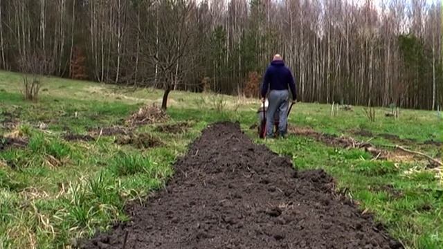 восстанавливаем ленивую грядку