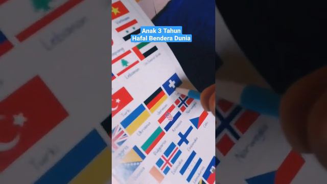 Anak 3 Tahun Hafal Bendera Negara2 Eropa