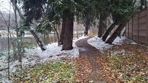 Лосино-Петровский | Суворовские пруды.