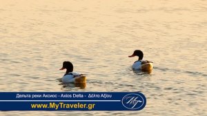 Дельта реки Аксиос - Македония - Греция