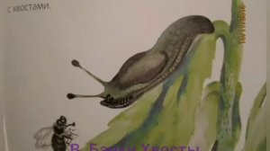 В. Бианки Хвосты.