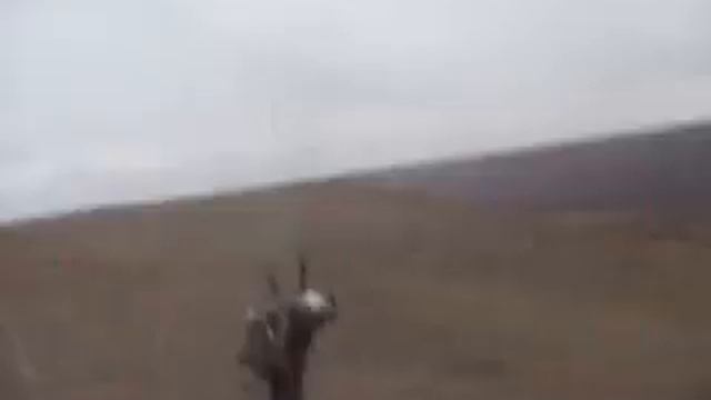 Параплан для новичка. Мотопараплан. Старт. para2000org