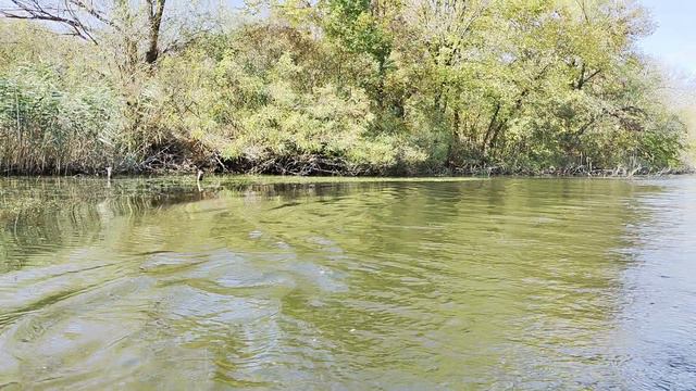 Сестра не хочет общаться и называет нас нищими. Но в один момент все изменилось... смотреть онлайн