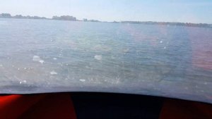 Риф Тритон 390F