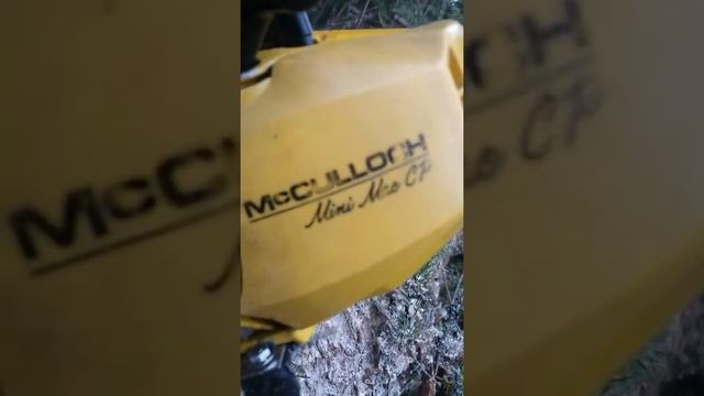 McCulloch Mini Mac PC