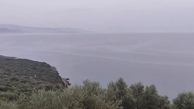 Кушадасы. Базар. Турция  Kusadasi. Bazaar. Turkey