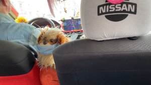 Калуга на выходные - стоит или нет?