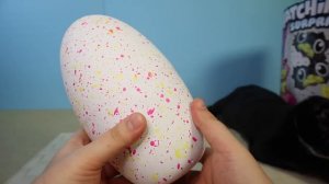 ХЭТЧИМАЛС ДВОЙНЯШКИ БЛИЗНЕЦЫ HATCHIMALS Twin Полное вылупление