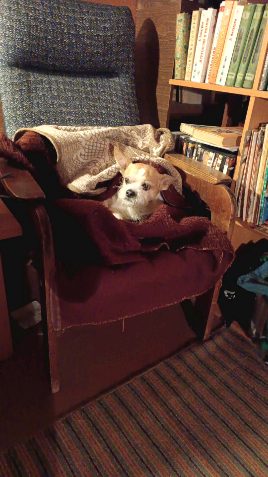 майнкрафт🤫🤫🤫 смотреть онлайн