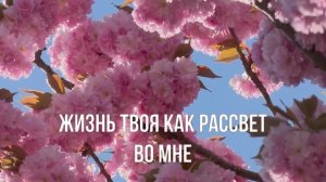 Можешь только Ты | Караоке | Прославление