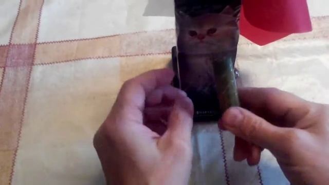 Датчик движения для охраны охранников,как видео ловушка или просто как игрушка. смотреть онлайн