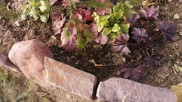 Укрытие садовых растений на зиму (гейхеры, кустарники, лапчатки, дельфиниумы и др растения) смотреть онлайн