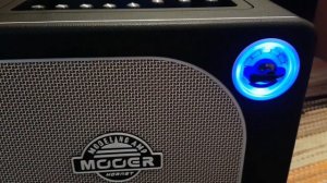 Mooer Hornet 15 Watt Combo.🙄