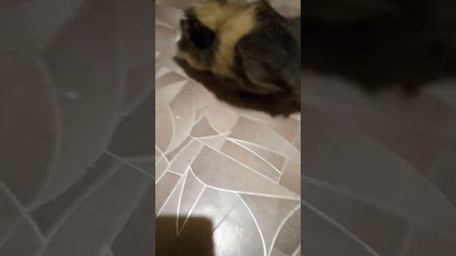 10 октября 2018 г. смотреть онлайн