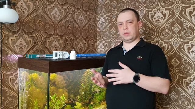 #аквариум #аквариумдома Освещенность в аквариуме. Свет источник жизни.