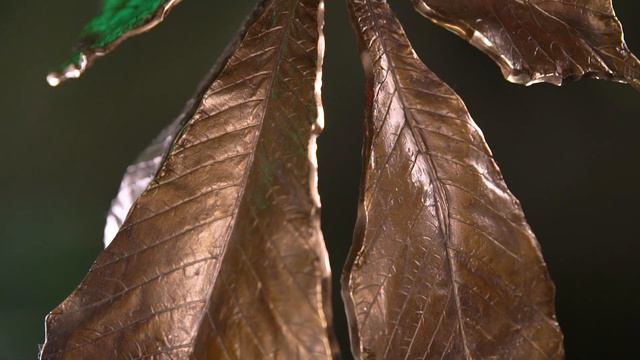 "Киевский каштан" - Скульптор Петр Озюменко смотреть онлайн