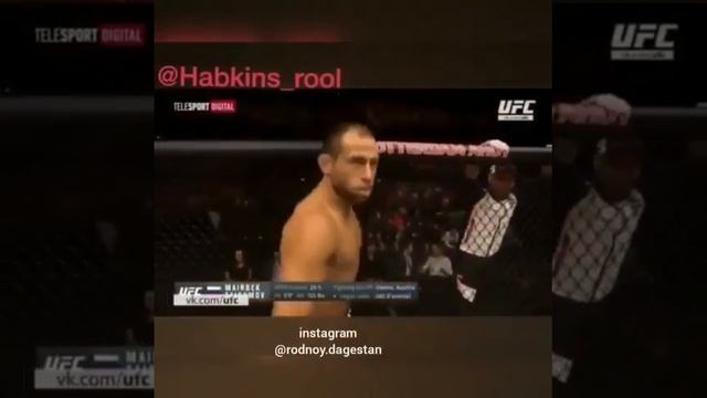 Это что UFC что ли? смотреть онлайн