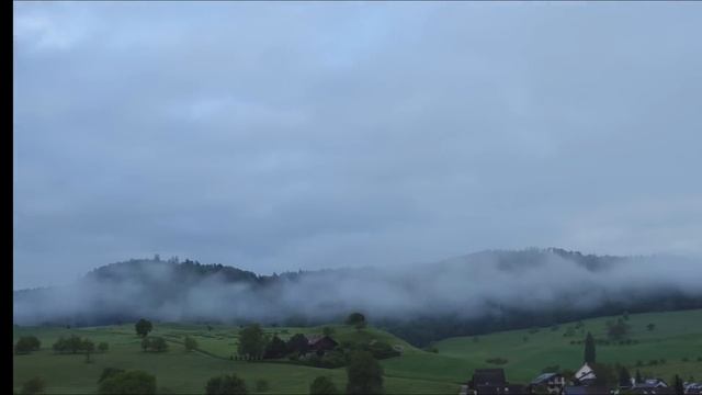 «Ты обязана быть благодарна, нищая обезьяна, что я принял тебя вместе с ребенком» Сказал муж. смотреть онлайн