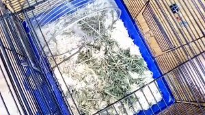 Соединяем две клетки