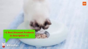 Xiaomi PETWANT F6 LCD Automatic Pet Feeder.