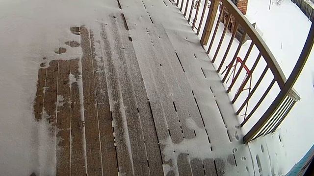 Горностай на даче зимой смотреть онлайн