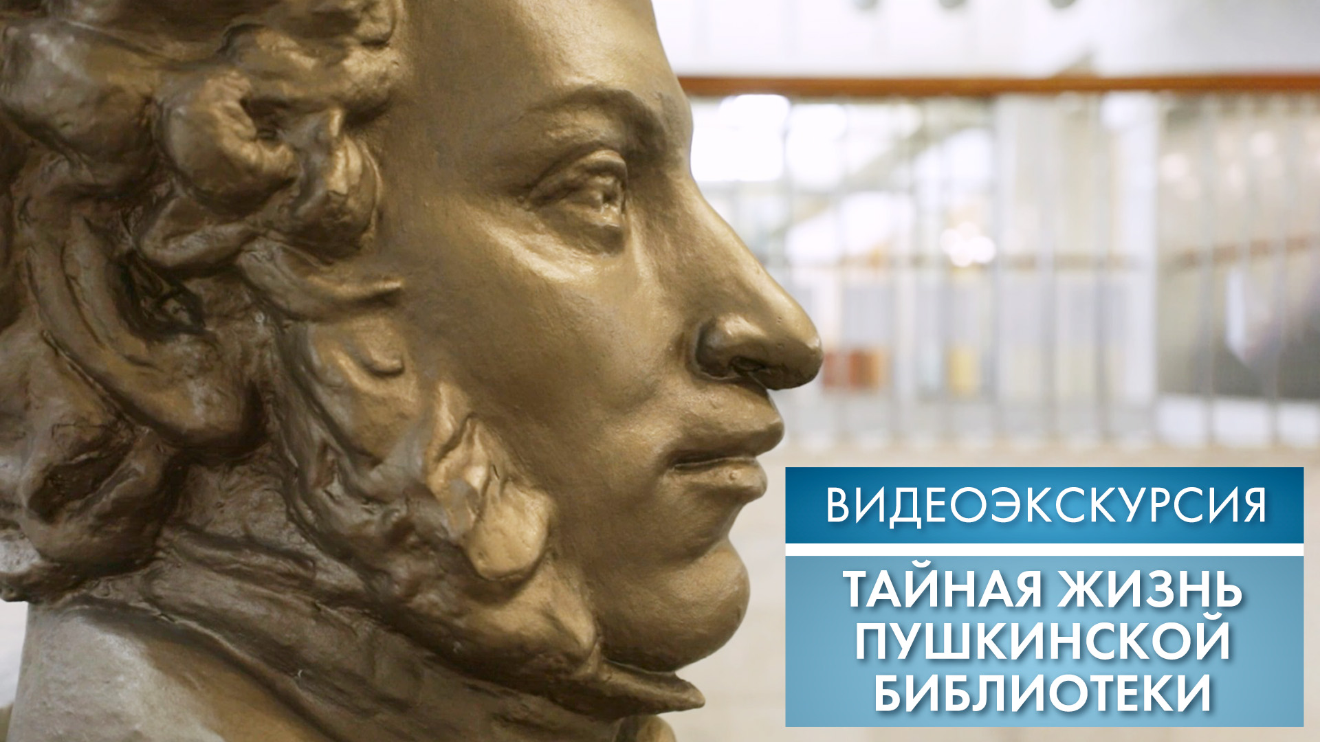 Тайная жизнь Пушкинской библиотеки | Видеоэкскурсия (2023)