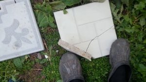 Говно тротуарная плитка тест на прочность карьерный песок