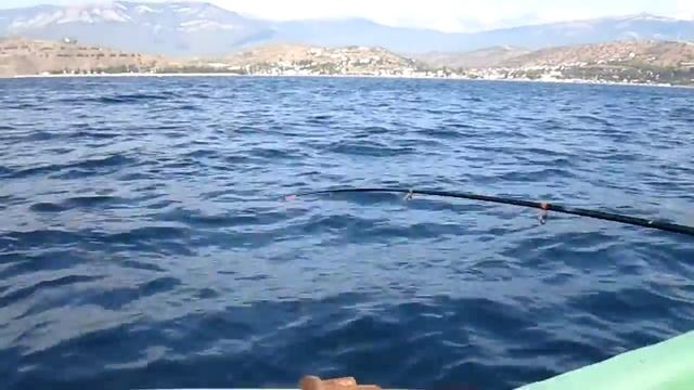 Ловля ставриды на Черном море