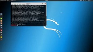 Kali Linux Обзор и настройка